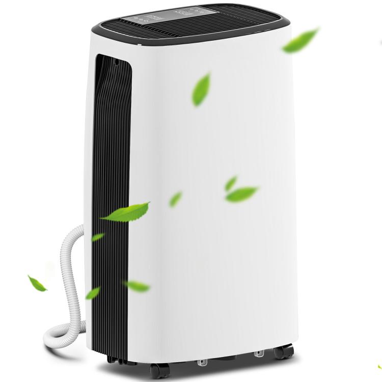 Picture of 20LDay Dehumidifier with Filter - White